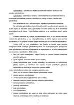 Referāts 'Apdrošināšanas sabiedrību licencēšana', 2.