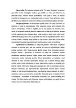 Referāts 'F.V.Nīčes biogrāfija un darba "Tā runāja Zaratustra" analīze', 9.