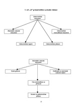 Prakses atskaite 'Prakses atskaite grāmatvedībā', 10.