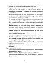 Prakses atskaite 'Prakses atskaite grāmatvedībā', 12.