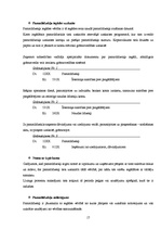 Prakses atskaite 'Prakses atskaite grāmatvedībā', 17.