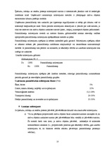 Prakses atskaite 'Prakses atskaite grāmatvedībā', 18.