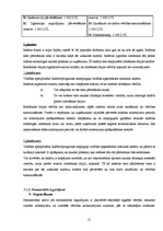 Prakses atskaite 'Prakses atskaite grāmatvedībā', 21.