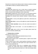 Prakses atskaite 'Prakses atskaite grāmatvedībā', 22.