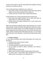 Prakses atskaite 'Prakses atskaite grāmatvedībā', 30.