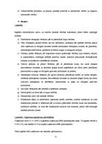 Prakses atskaite 'Prakses atskaite grāmatvedībā', 31.