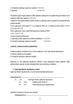 Prakses atskaite 'Prakses atskaite grāmatvedībā', 32.