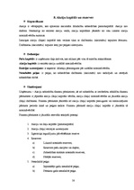 Prakses atskaite 'Prakses atskaite grāmatvedībā', 38.