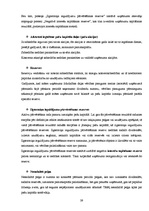 Prakses atskaite 'Prakses atskaite grāmatvedībā', 39.