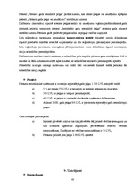 Prakses atskaite 'Prakses atskaite grāmatvedībā', 40.