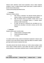 Prakses atskaite 'Prakses atskaite grāmatvedībā', 42.