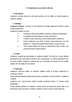 Prakses atskaite 'Prakses atskaite grāmatvedībā', 44.