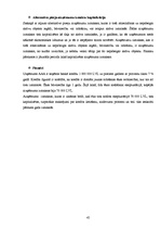 Prakses atskaite 'Prakses atskaite grāmatvedībā', 45.