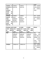 Prakses atskaite 'Prakses atskaite grāmatvedībā', 50.