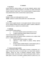 Prakses atskaite 'Prakses atskaite grāmatvedībā', 51.