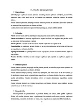 Prakses atskaite 'Prakses atskaite grāmatvedībā', 58.