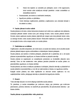 Prakses atskaite 'Prakses atskaite grāmatvedībā', 60.