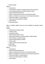 Prakses atskaite 'Prakses atskaite grāmatvedībā', 77.