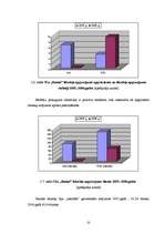 Diplomdarbs 'SIA „Ratiņš” saimnieciskās darbības un mārketinga analīze', 33.