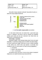 Diplomdarbs 'SIA „Ratiņš” saimnieciskās darbības un mārketinga analīze', 62.