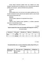 Diplomdarbs 'SIA „Ratiņš” saimnieciskās darbības un mārketinga analīze', 65.