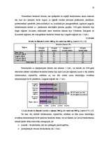 Diplomdarbs 'Bezdarba samazināšanas iespēju organizēšana Kurzemē', 13.