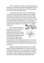 Referāts 'Priekšējo dzenošo tiltu kardāni', 4.