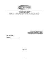 Paraugs 'Iekšējās audita nodaļas ieviešana SIA "Ķieģelis"', 1.