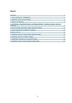 Paraugs 'Iekšējās audita nodaļas ieviešana SIA "Ķieģelis"', 2.