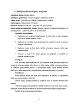 Paraugs 'Iekšējās audita nodaļas ieviešana SIA "Ķieģelis"', 21.