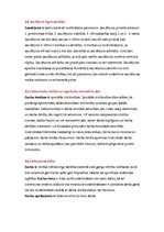 Konspekts 'Darba un saistību tiesības - ieskaites jautājumi un atbildes', 7.