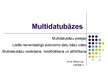 Konspekts 'Multidatubāzu pieejas', 14.