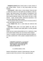 Konspekts 'Komunikācija organizācijā', 7.