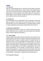 Referāts 'Tūrisma maršruts kā izmitināšanas uzņēmuma papildpiedāvājums', 10.