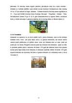 Referāts 'Tūrisma maršruts kā izmitināšanas uzņēmuma papildpiedāvājums', 15.