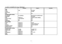 Konspekts 'Aprūpes plāns', 5.