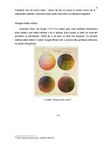 Referāts 'No dabas objektiem iegūto krāsu toņu klasificēšanas un izmantošanas iespējas pla', 13.