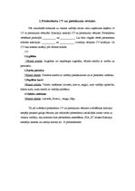 Referāts 'Personāla vadība', 3.