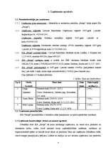 Biznesa plāns 'SIA “Strops”', 4.