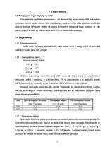 Biznesa plāns 'SIA “Strops”', 11.