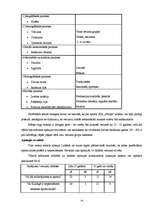 Biznesa plāns 'SIA “Strops”', 14.