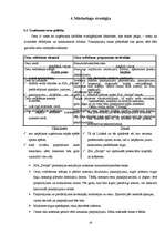 Biznesa plāns 'SIA “Strops”', 18.