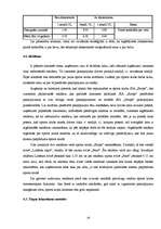 Biznesa plāns 'SIA “Strops”', 19.