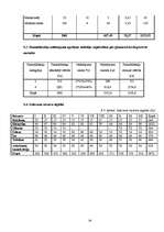 Biznesa plāns 'SIA “Strops”', 29.