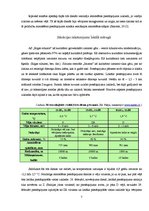 Prakses atskaite 'Piesārņojošo vielu izkliede atmosfērā un to ietekmējošo faktoru novērtēšana', 7.