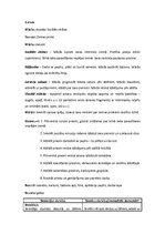 Konspekts 'Integrētā stunda ar sociālo zinību dominati', 1.