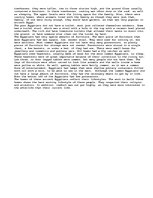 Eseja 'Common Ancient Egyptian Homes', 2.