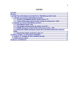 Referāts 'Investīciju iespējas un investēšanas politikas veiksmīga realizācija uzņēmumā SI', 2.