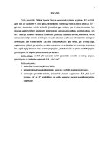 Referāts 'Investīciju iespējas un investēšanas politikas veiksmīga realizācija uzņēmumā SI', 3.