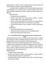 Referāts 'Investīciju iespējas un investēšanas politikas veiksmīga realizācija uzņēmumā SI', 5.